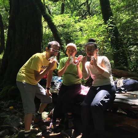 Yakushima Youth Hostel 外观 照片