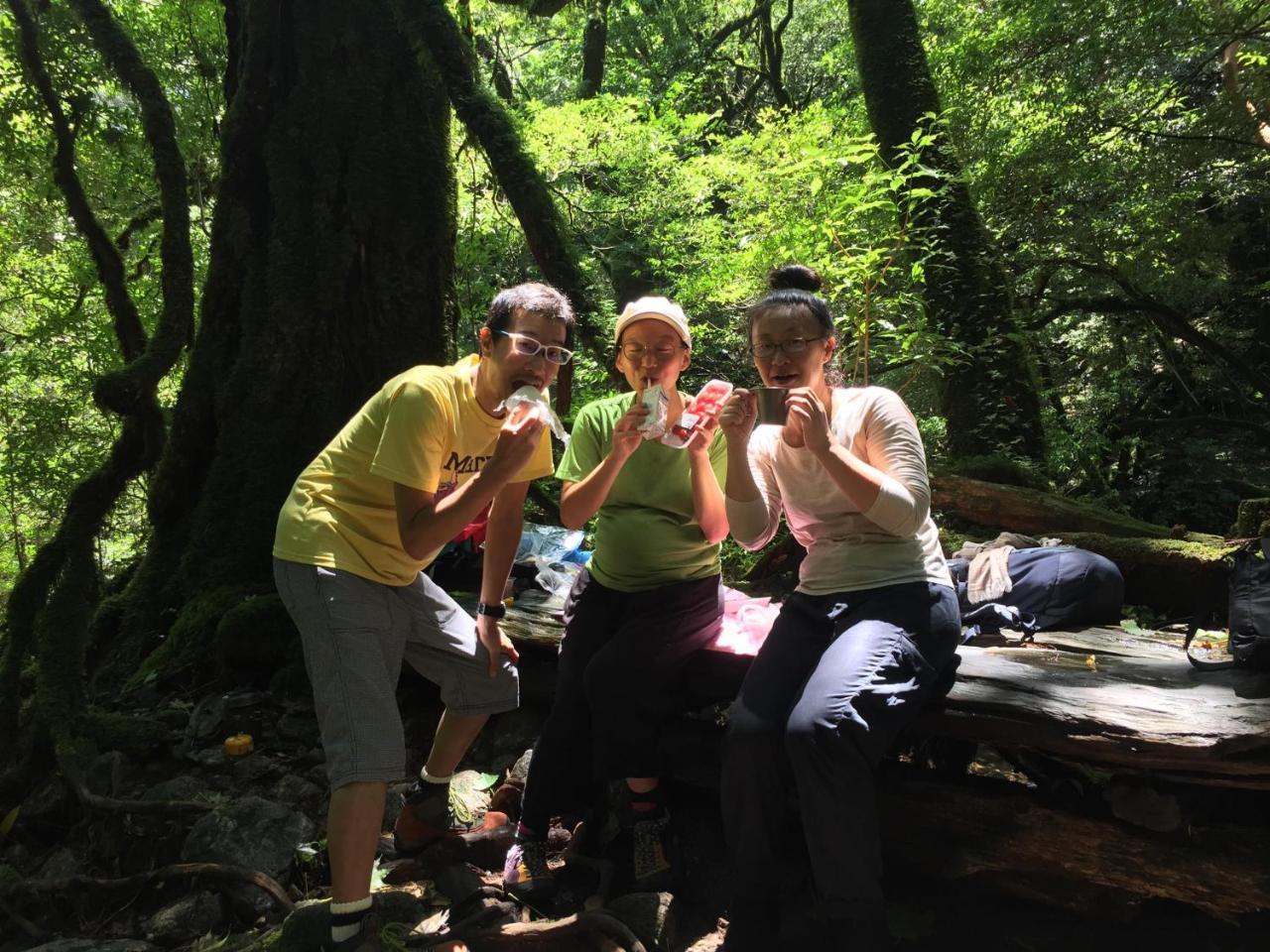 Yakushima Youth Hostel 外观 照片